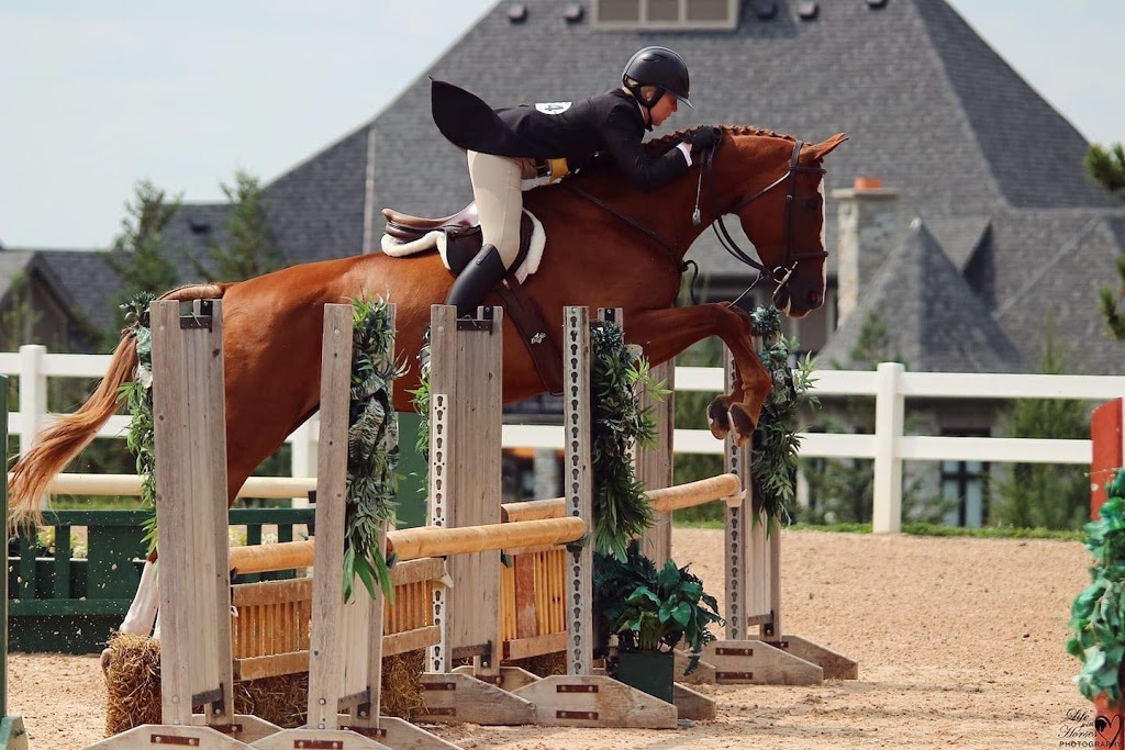 SJD Equestrian | 1122 Big Bay Point Rd, Innisfil, ON L9S 2R1, Canada | Phone: (705) 794-0788