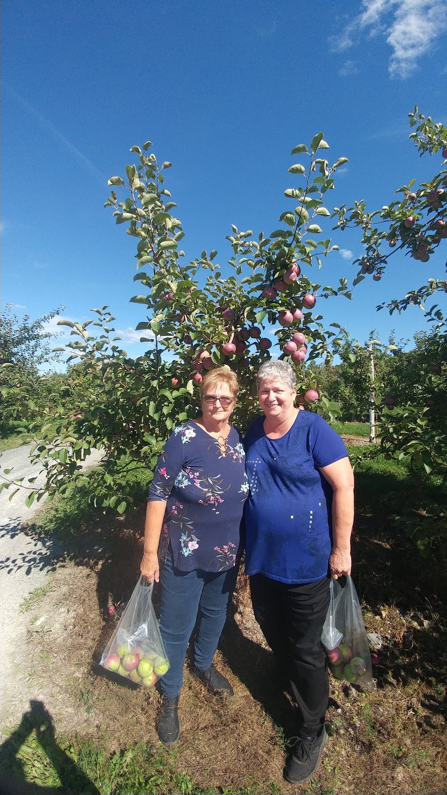 CAMPING FAMILIAL FRT (FONDATION ROGER TALBOT) | 2070 Avenue du Lac O, Roxton Pond, QC J0E 1Z0, Canada | Phone: (450) 378-2243