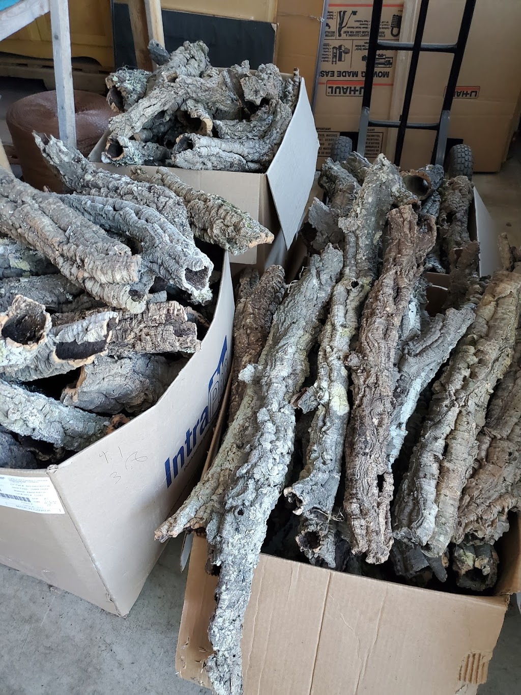 Exotic Feeders Inc ™ | 1550 Yorkton Ct Unit 4, Burlington, ON L7P 5B7, Canada