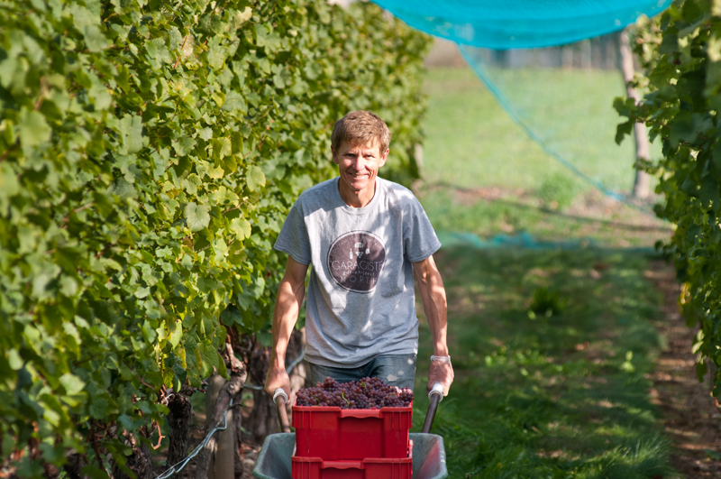 Symphony Vineyard | 6409 Oldfield Rd, Saanichton, BC V8M 1X8, Canada | Phone: (250) 208-8784