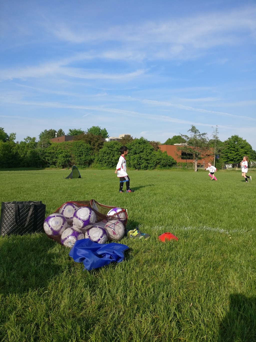 Rabbi Bulka Kindness Park | Ottawa, ON K1H 6S2, Canada | Phone: (613) 580-2595