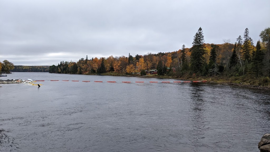 MACEWEN | 29553 ON-60, Whitney, ON K0J 2M0, Canada | Phone: (613) 637-2670