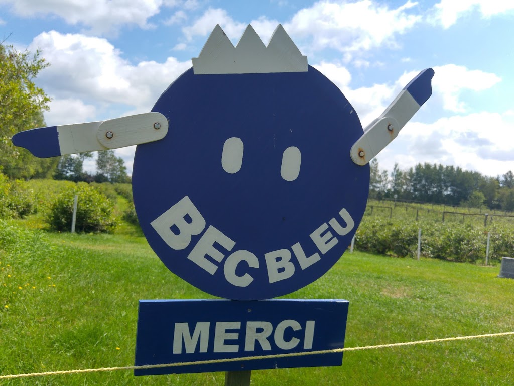 Bleuetière Bec Bleu | 4510 Chemin Orr, Cookshire-Eaton, QC J0B 1M0, Canada | Phone: (819) 861-2538