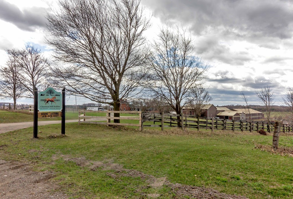 Chestnut Hill Stables | 12510 Concession Rd 7, Leaskdale, ON L0C 1C0, Canada | Phone: (416) 550-3695