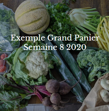 Ferme Côté Jardin | 273 Chem. Beaver Ridge, Cookshire-Eaton, QC J0B 1M0, Canada | Phone: (819) 875-1606