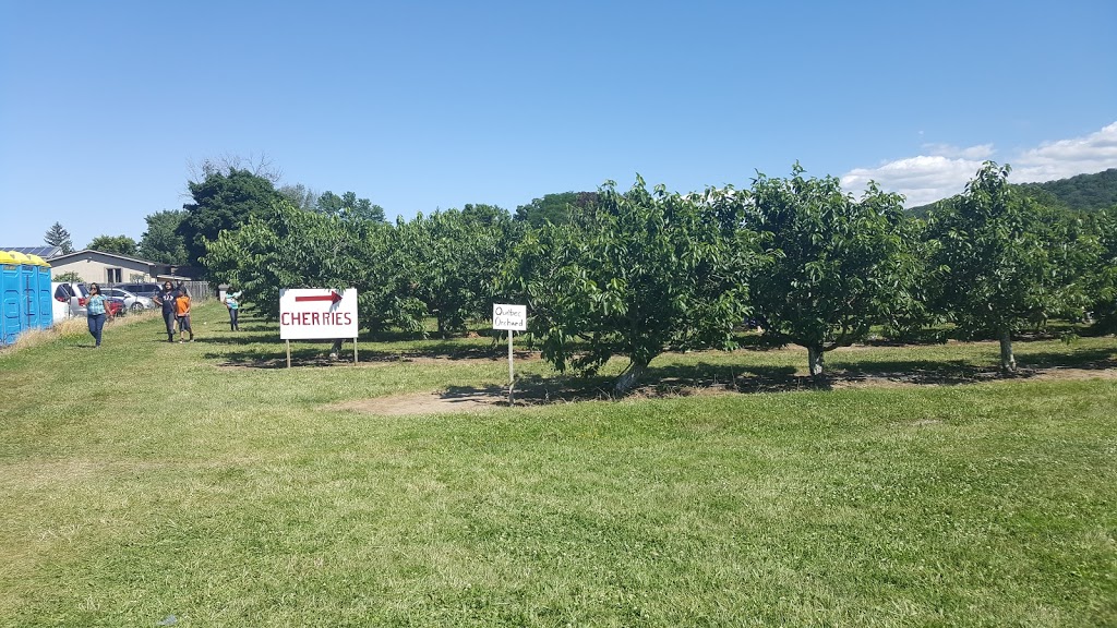 Sun Valley Farms | 1186 Hamilton Regional Rd 8, Winona, ON L8E 5K2, Canada | Phone: (289) 237-3893