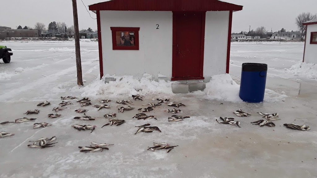 Marceau Guy | 190 5e Av, Sainte-Anne-de-la-Pérade, QC G0X 2J0, Canada | Phone: (418) 325-2187
