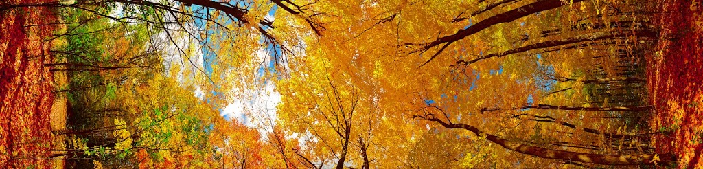 BB | Magwood Park, York, ON M6S 2J2, Canada | Phone: (647) 874-1218