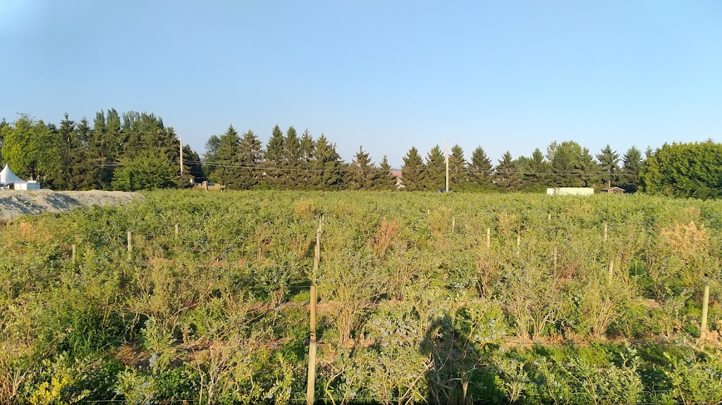 JP Farms | 5863 104 St, Delta, BC V4K 3N3, Canada | Phone: (778) 869-4545