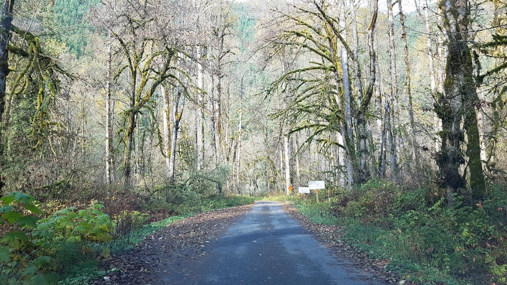 Two Bedroom Cabin - 83MF | 9249 Upper Frost Creek Rd, Maple Falls, WA 98266, USA | Phone: (636) 736-4460