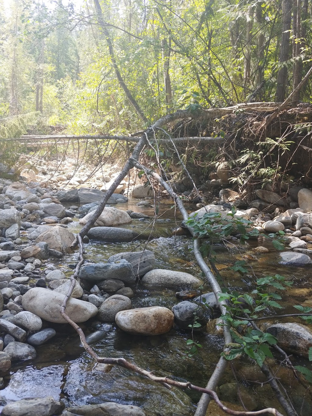 Scenic Canyon Regional Park | 3980-4028 Field Rd, Kelowna, BC V1W 3Z8, Canada | Phone: (250) 763-4918