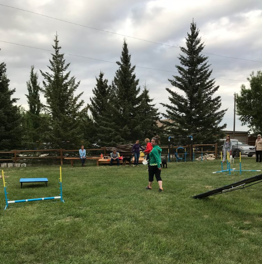 Auburnmist Training Centre Inc. | 226152 80 St E, De Winton, AB T0L 0X0, Canada | Phone: (403) 938-6733