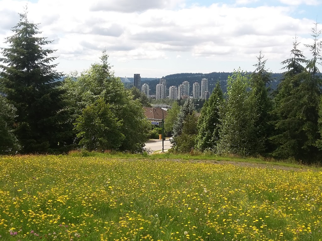 Robson Park | 1420 Pinetree Way, Coquitlam, BC V3E 6A3, Canada | Phone: (604) 927-3000