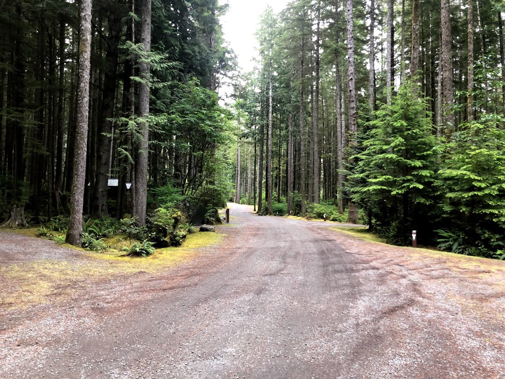 Juan de Fuca - China Beach Campground | 12287 HWY 14, Capital H (Part 2), BC V0S, Canada