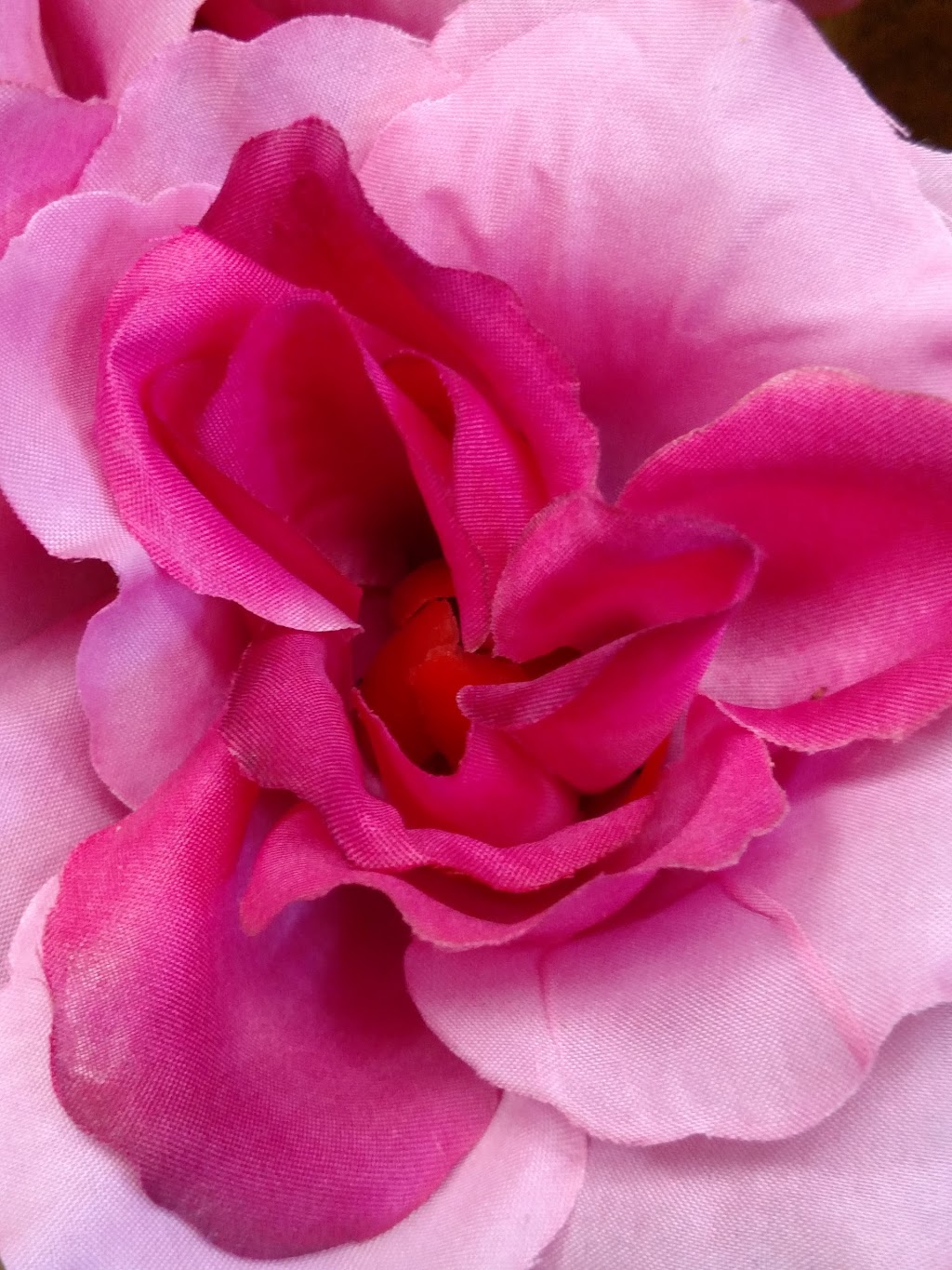 Rose Cellar Florist | 58316 Main St, New Haven, MI 48048, USA | Phone: (586) 749-7725