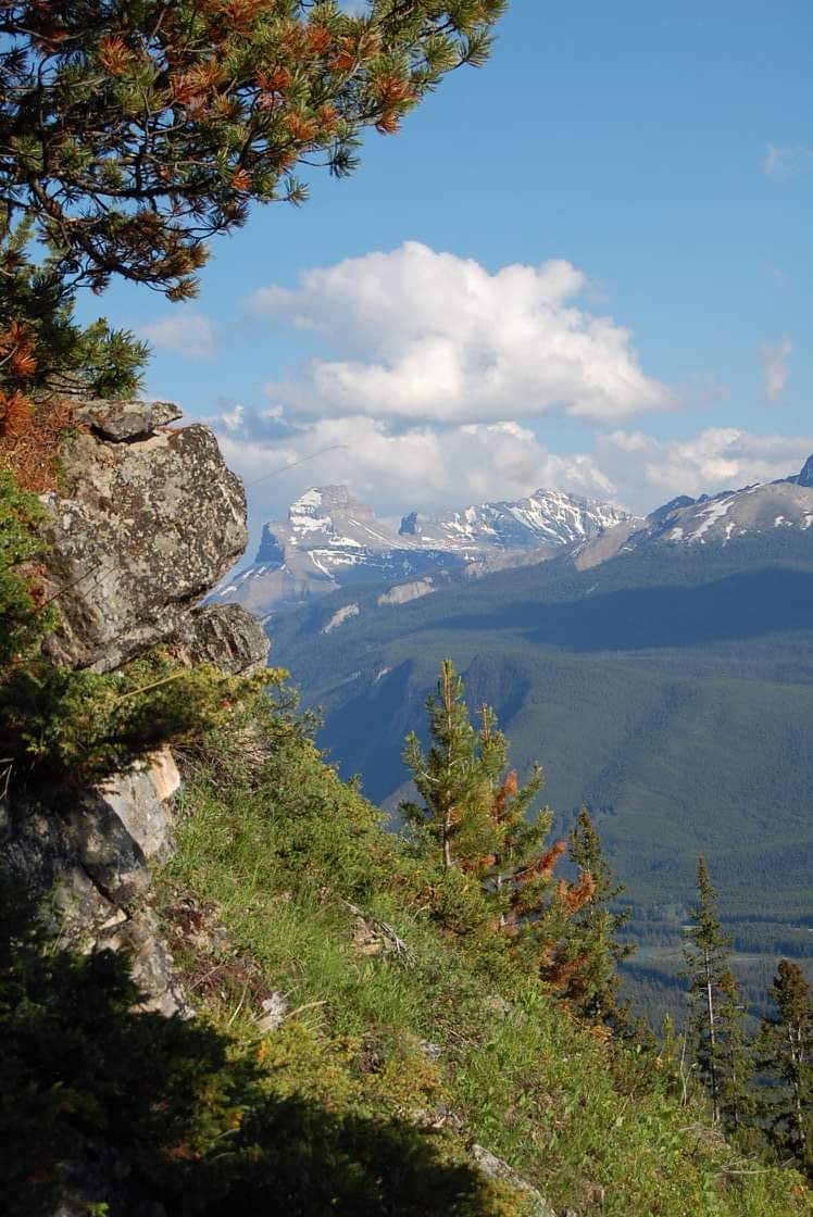 Canmore Park - Cross Country location | 3298 19 St NW, Calgary, AB T2L 2A8, Canada