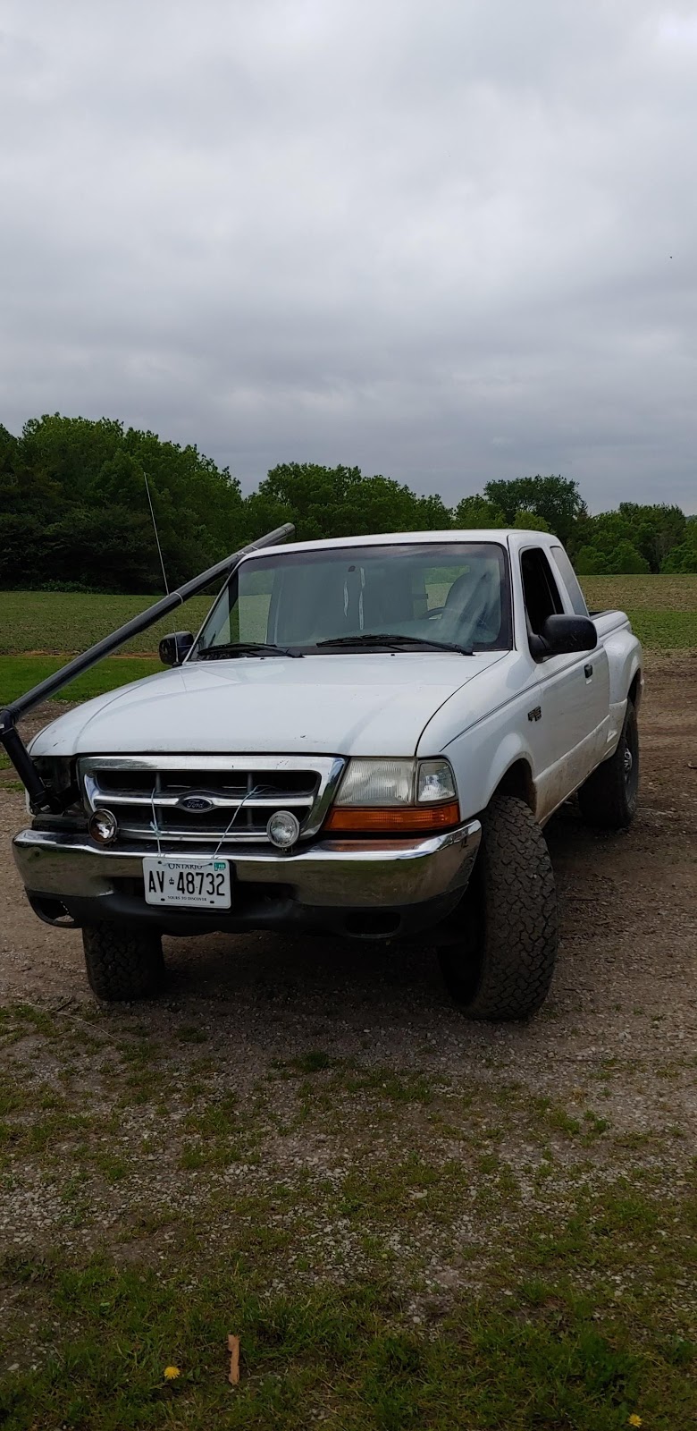 D C Bovine Hoof Care | 5363 Perth County Line 93, Palmerston, ON N0G 2P0, Canada | Phone: (519) 343-5539