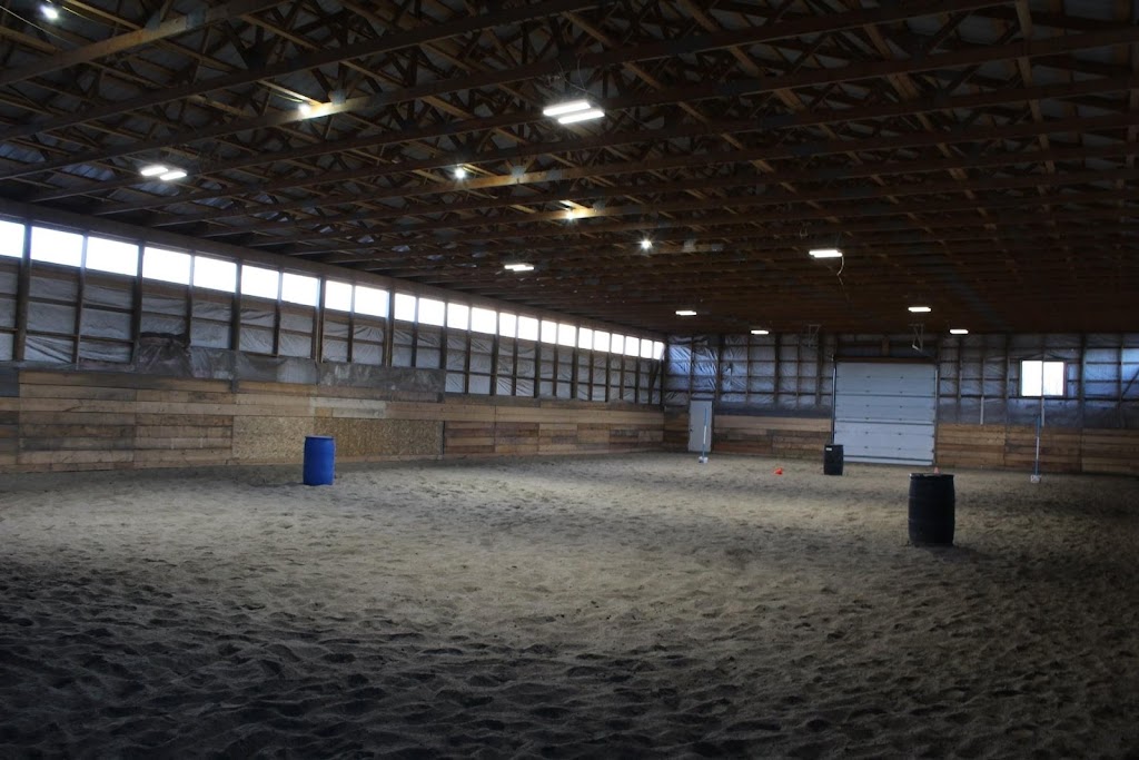 New Beginnings Equestrian Centre | 56327 Range Rd 13, Onoway, AB T0E 1V0, Canada | Phone: (587) 873-5381