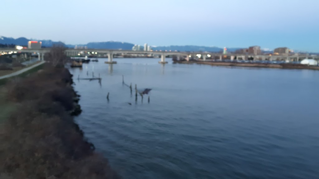 Richmond Marina Chevron | 7891 Grauer Rd, Richmond, BC V7B 1N4, Canada | Phone: (604) 278-2181