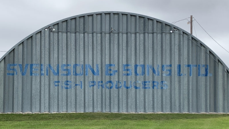 Sveinson fish | 108123, Provincial Trunk Hwy 9, Gimli, MB R0C 1B0, Canada | Phone: (204) 642-8889