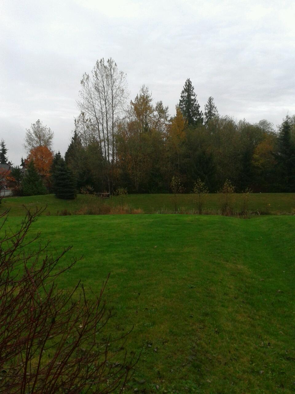 Forest Hills Park | 8741 215 St, Langley City, BC V1M 2E4, Canada | Phone: (604) 532-7350