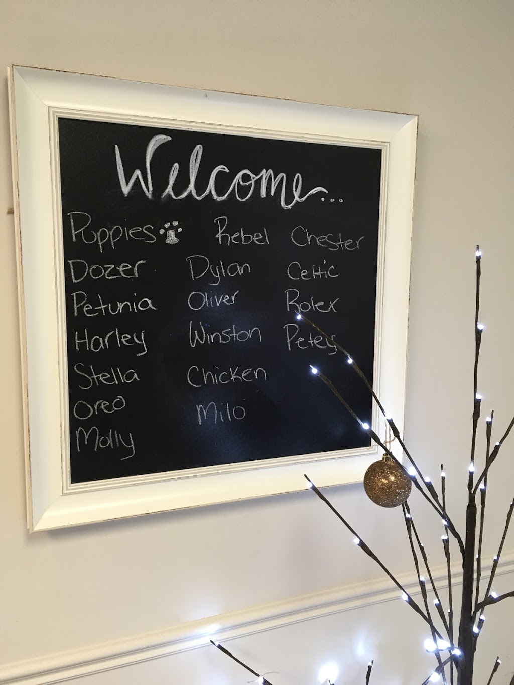 Forest Veterinary Clinic | 6378 Townsend Line, Forest, ON N0N 1J0, Canada | Phone: (519) 786-2306