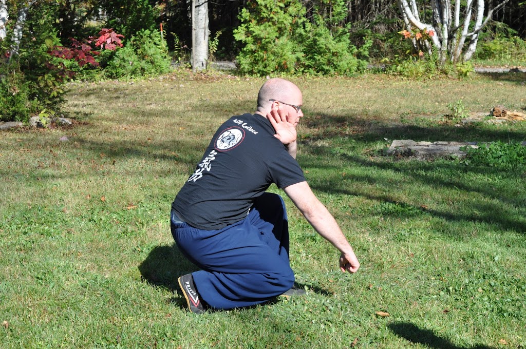 Wudang Principles Québec | 616 Rue Saint-Vallier O, Québec, QC G1N 2M9, Canada | Phone: (418) 933-9298