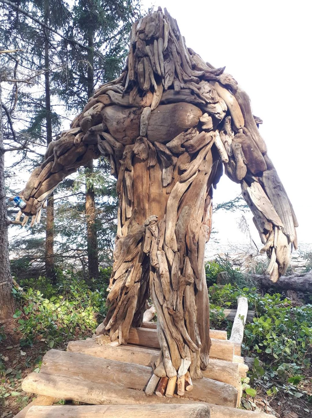 Bigfoot The Guardian | 4289 Barnjum Rd, Sahtlam, BC V9L 6G5, Canada | Phone: (250) 202-5520