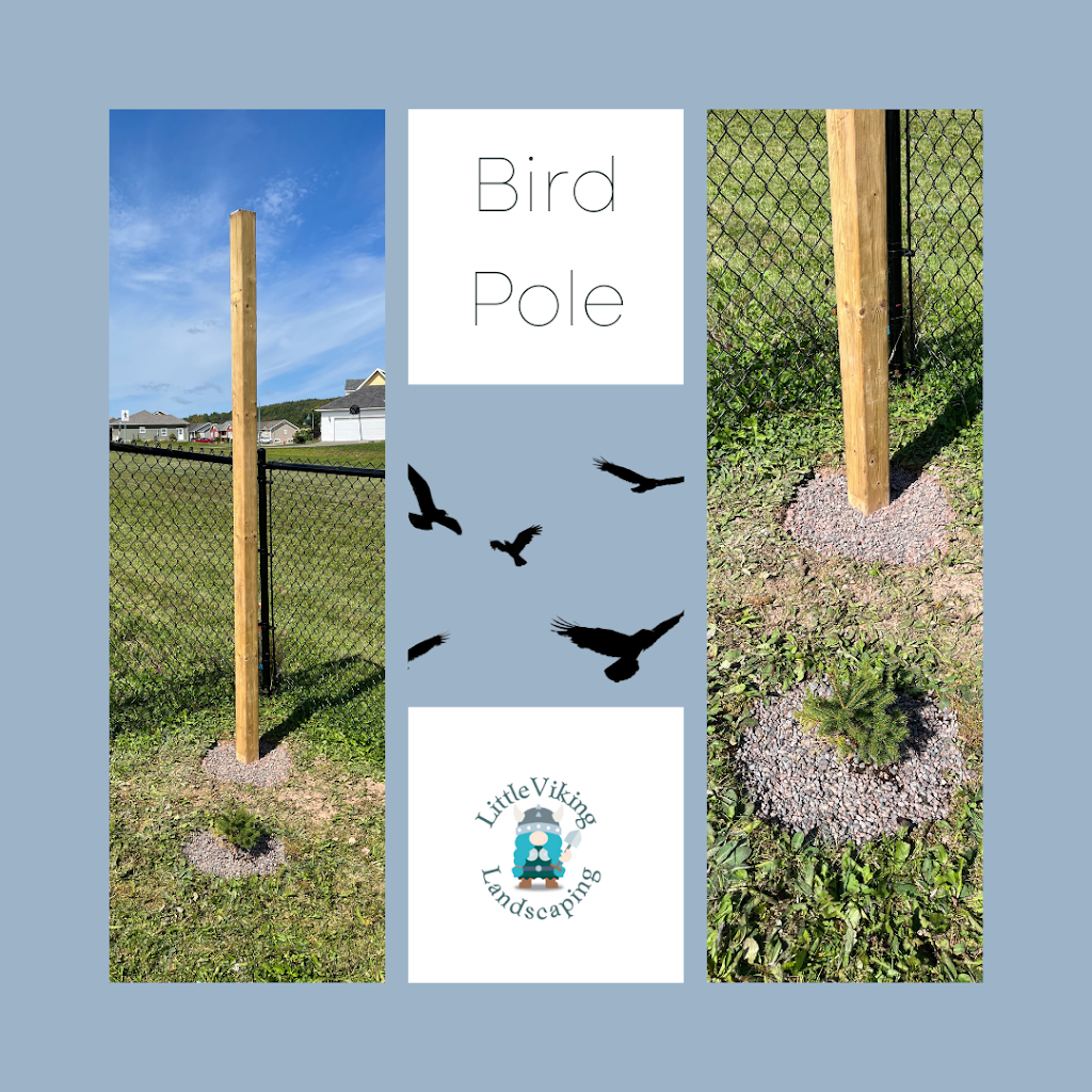 Little Viking Landscaping | 12 D. Macissac Rd, Antigonish, NS B2G 2J9, Canada | Phone: (902) 968-0850
