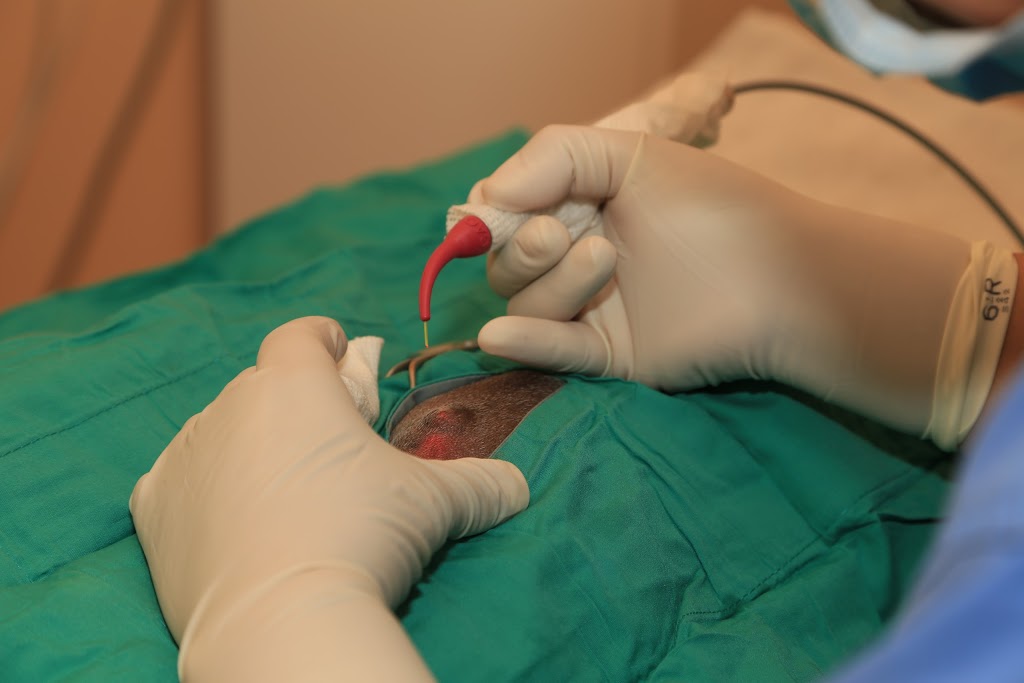 Summerside Vet Hospital Edmonton | 6941 Ellerslie Rd SW, Edmonton, AB T6X 2A1, Canada | Phone: (780) 466-4030