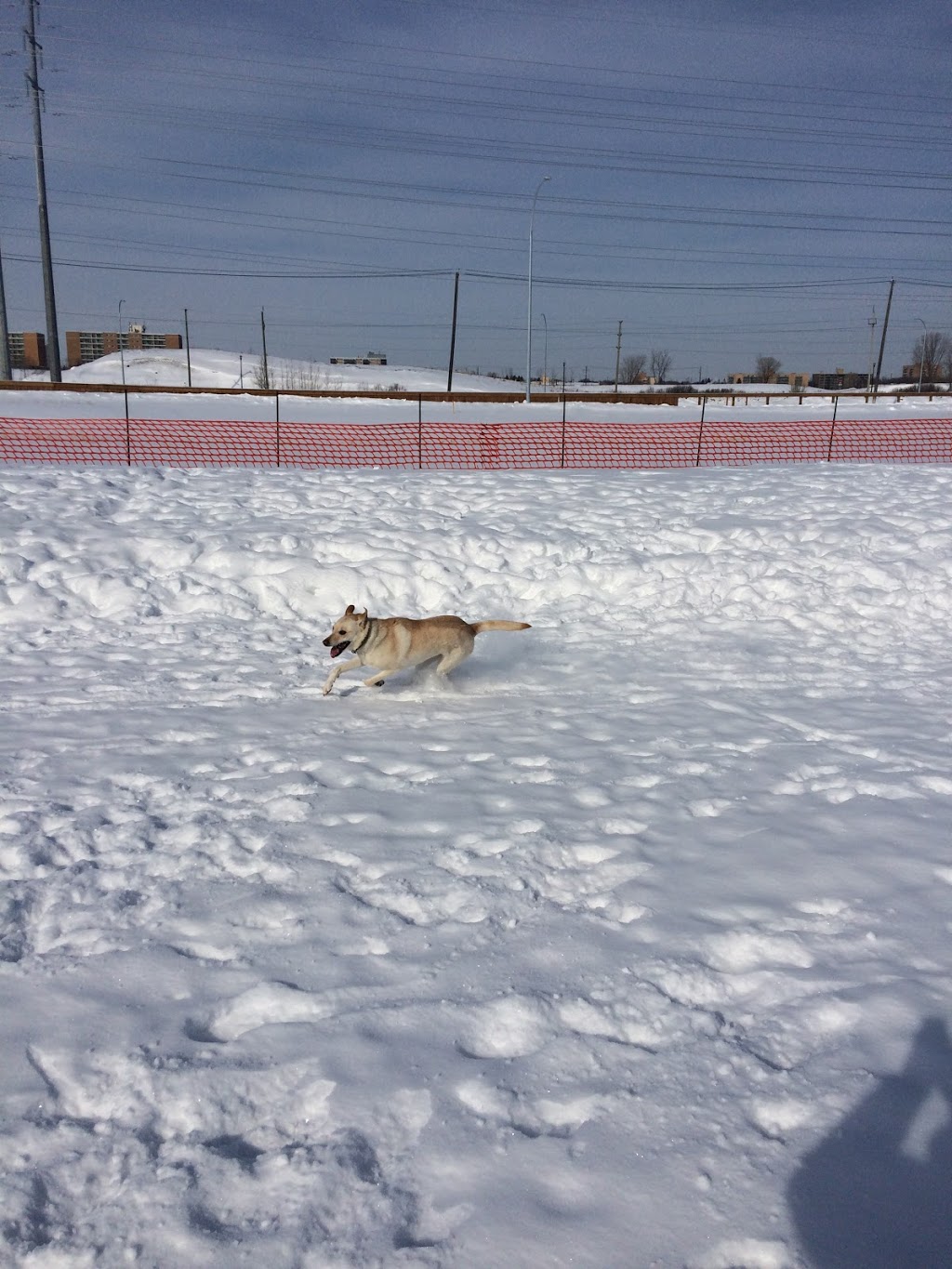 Brenda Leipsic Temporary Park | Parker, Winnipeg, MB R3T, Canada