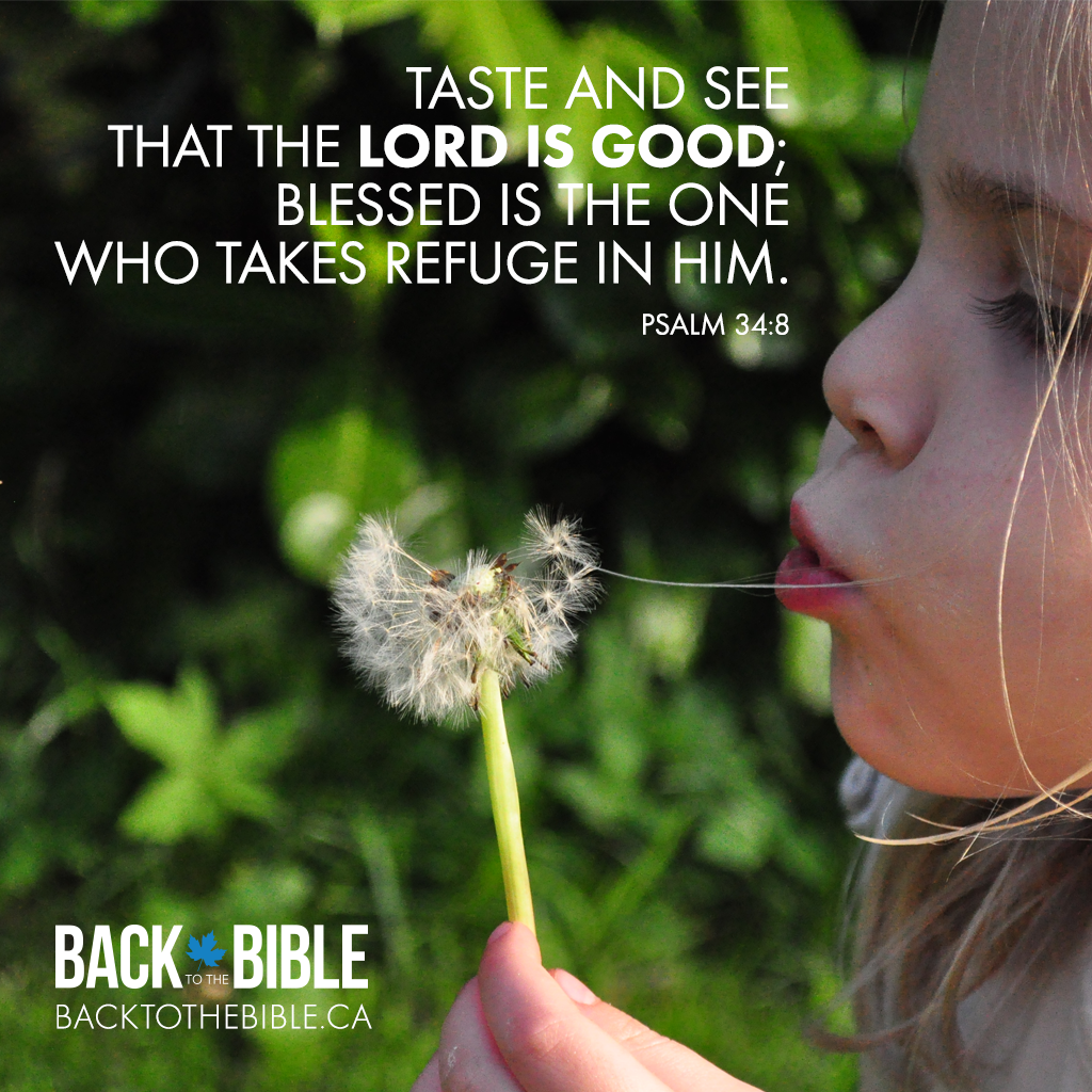 Back to the Bible Canada | 31087 Peardonville Rd, Abbotsford, BC V2T 6K4, Canada | Phone: (604) 746-3232