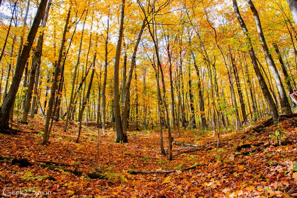 Goodwood Tract Oak Ridges Trail | Red Oak Trail, Uxbridge, ON L9P 1R4, Canada | Phone: (905) 833-6600