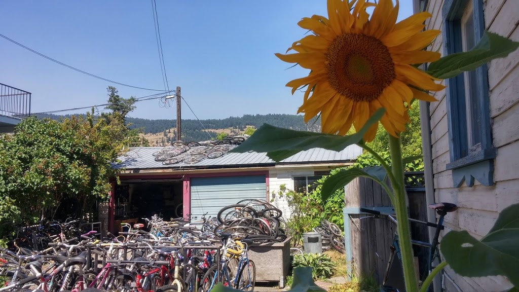 Sunflower Bicycle Repair | 838 Shuswap Ave, Chase, BC V0E 1M0, Canada | Phone: (778) 220-6709