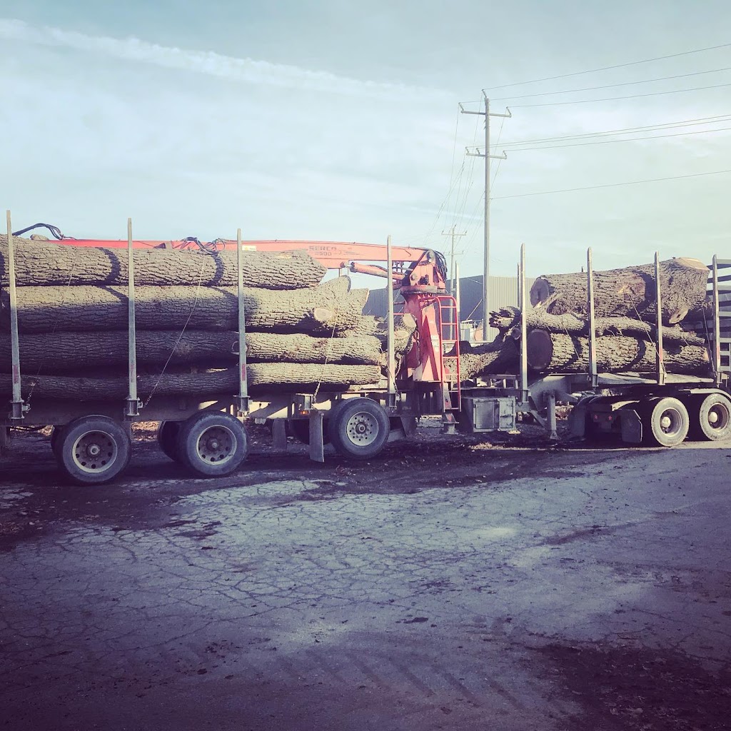 The Mill Co. | 943 Wellington St, Dresden, ON N0P 1M0, Canada | Phone: (519) 384-3412