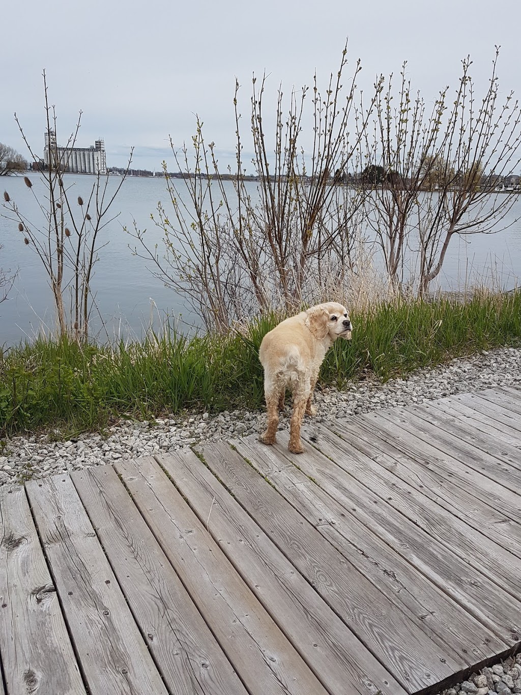 Whites Bay Park | 2 Balsam St, Collingwood, ON L9Y 5C4, Canada