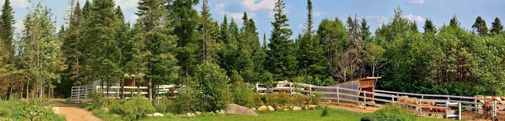 Andre Ladouceur Accordeur | 6250 Loieme Rang, Sainte-Adèle, QC J8B 2P7, Canada | Phone: (819) 321-1329