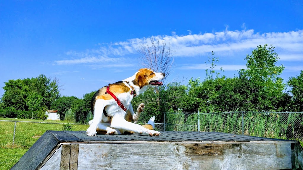 Miller Avenue Off-Leash Dog Park | 560 Miller Ave, Markham, ON L6G 1B2, Canada