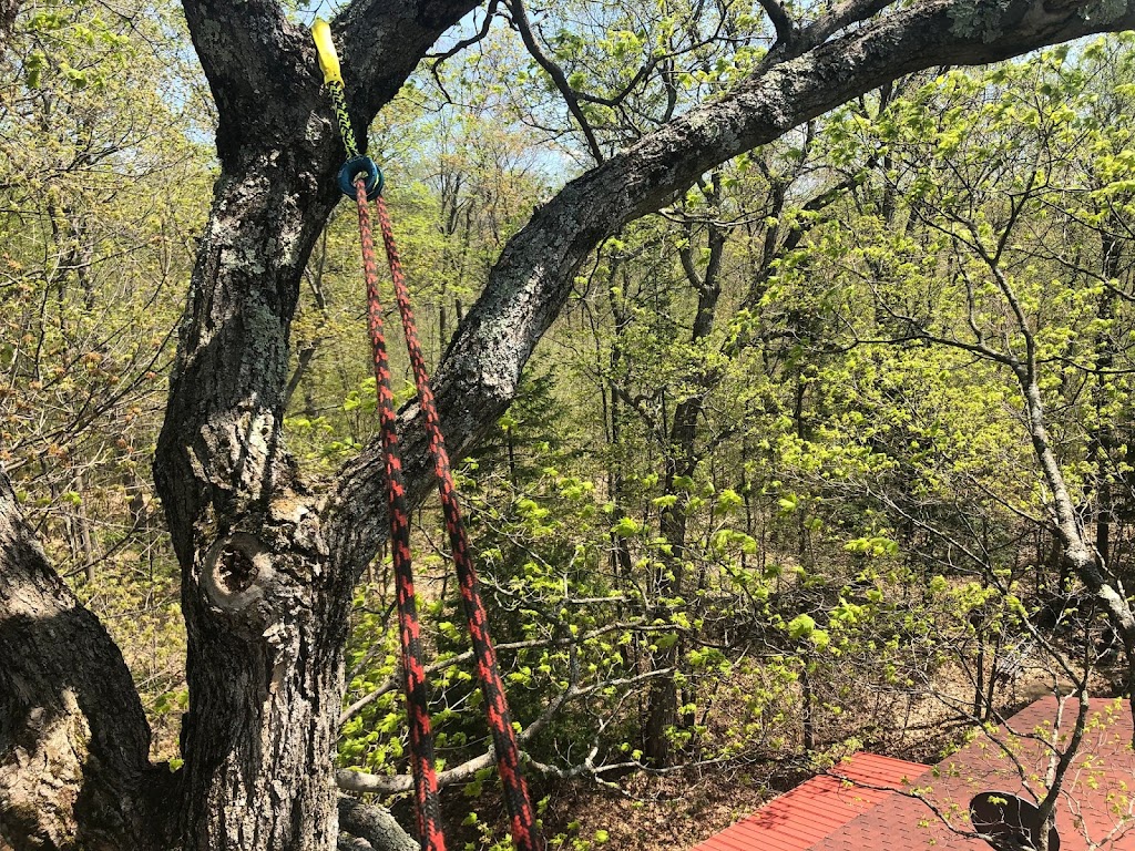 arboriculture nootka | 2815 chemin des laurentides, Sainte-Julienne, QC J0K 2T0, Canada | Phone: (579) 960-3070