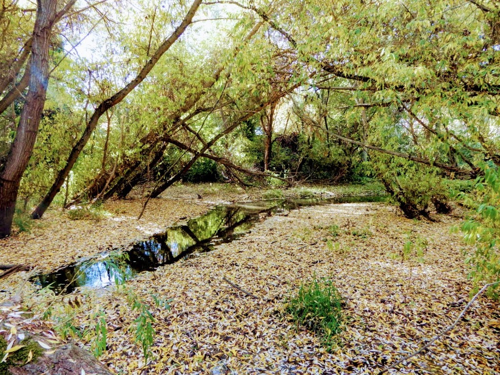 Hyacinth Park | Saanich, BC V8Z, Canada