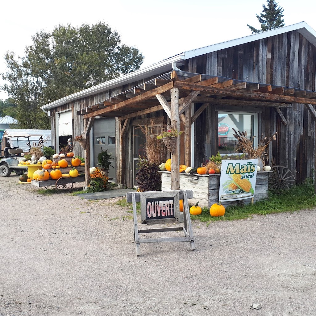 Jardins baie lactee | 1254 Chemin St Joseph, La Baie, QC G7B 3N9, Canada | Phone: (418) 446-1547