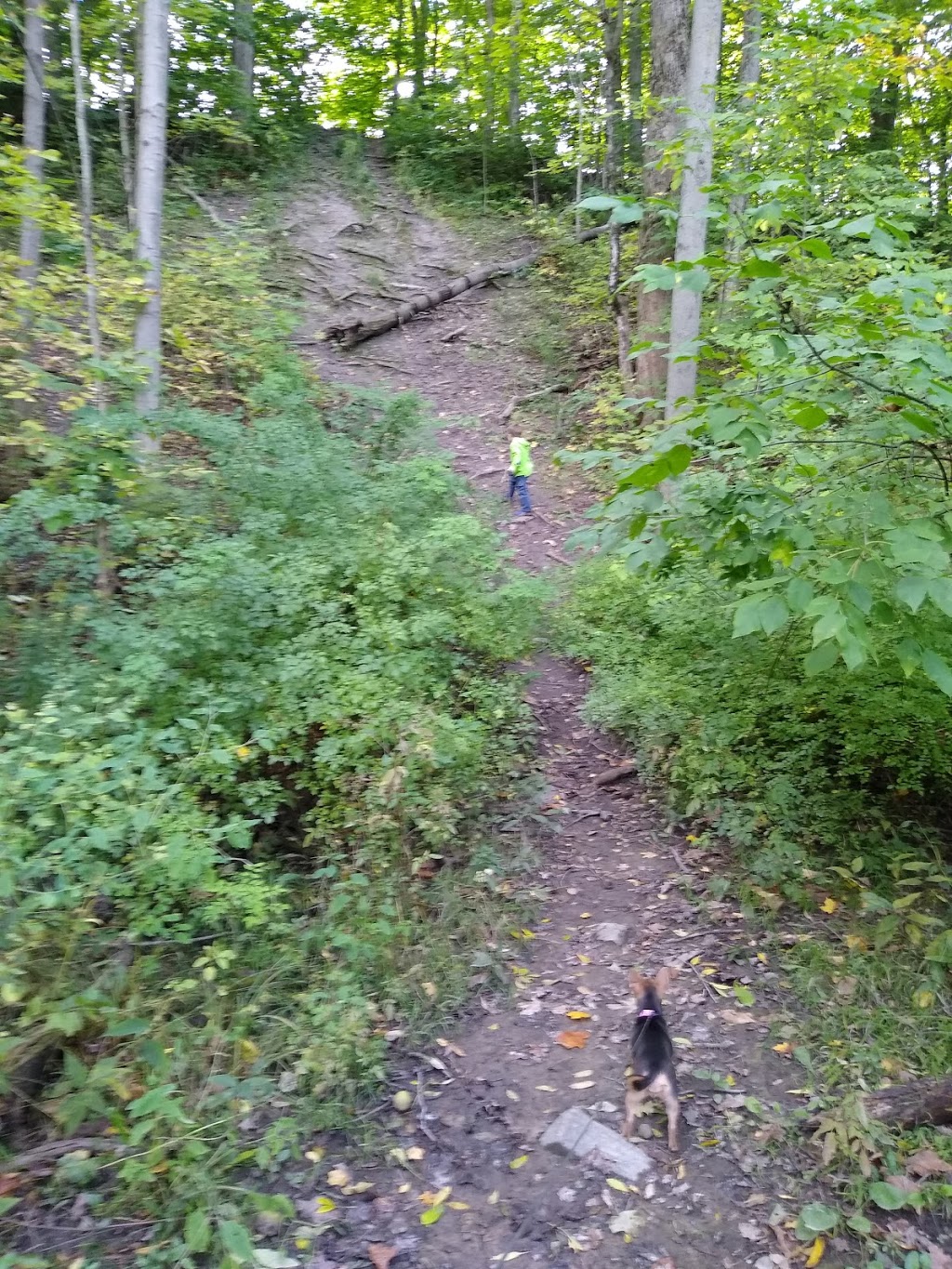 Niagara Royalton Ravine Park | Gasport Rd, Gasport, NY 14067, USA | Phone: (716) 772-2016
