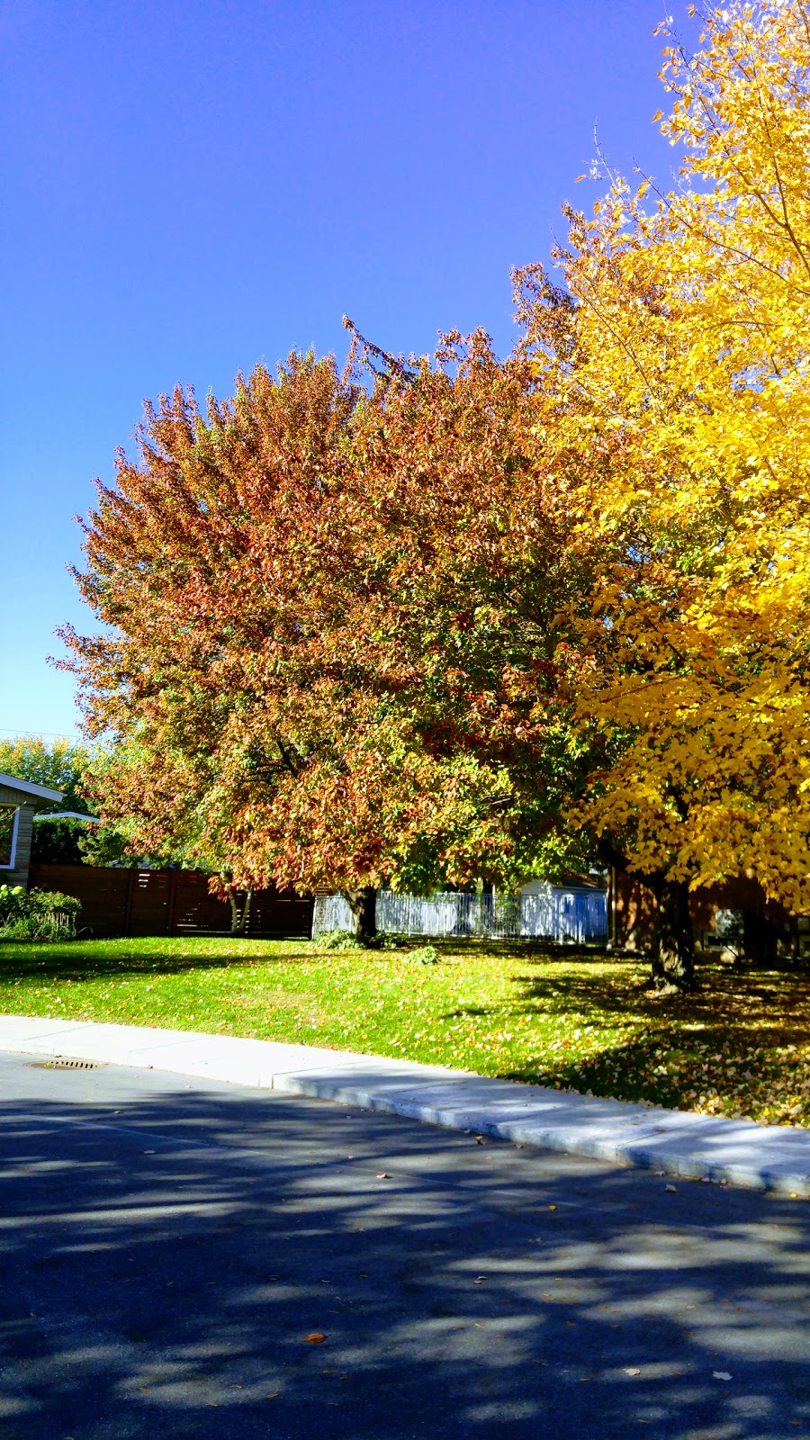 Parc Bois de Brouage | Boucherville, QC J4B 2E9, Canada