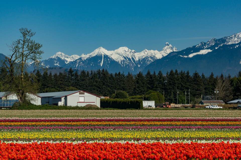 Fraser Valley Mindful Self-Compassion | 5648 Promontory Rd, Chilliwack, BC V2R 0E5, Canada | Phone: (604) 819-8958