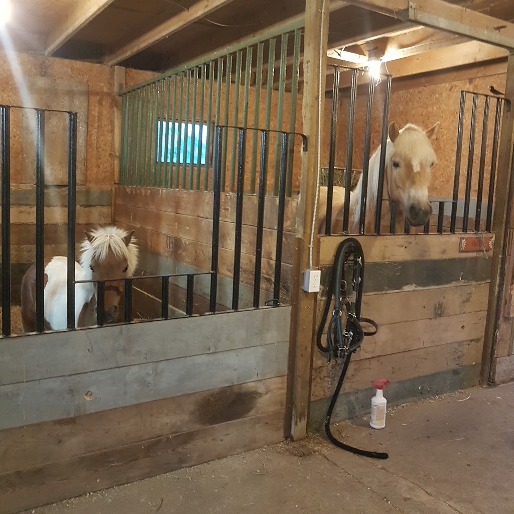 Maple Beech Farm | 796183 3rd Line E, Mulmur, ON L9V 0H2, Canada | Phone: (519) 925-9981