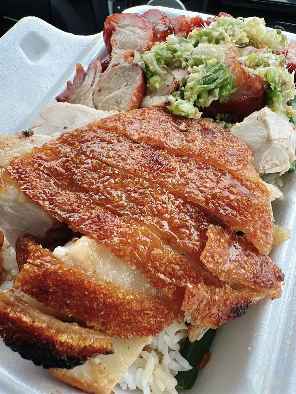 Jian Hong Yuen BBQ House | 1661 Denison St, Markham, ON L3R 6E4, Canada | Phone: (905) 513-2688
