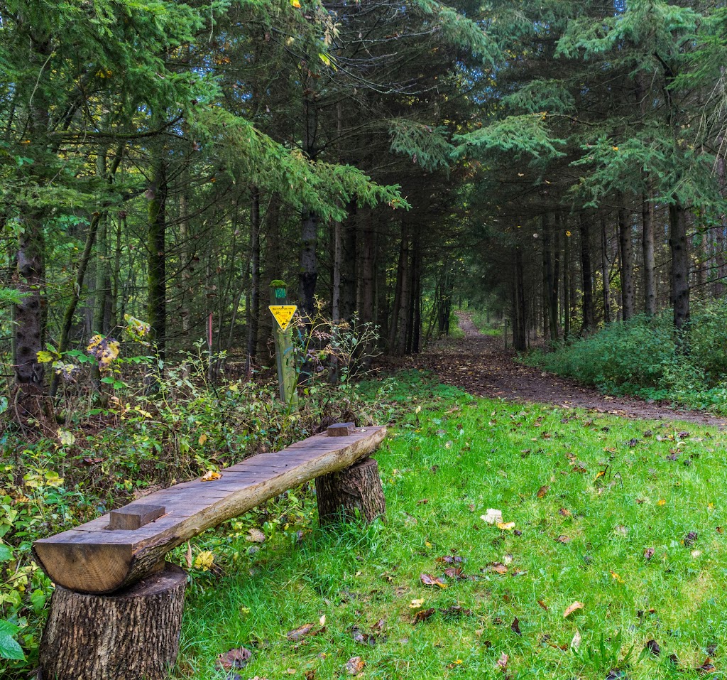 Christie Lake Conservation Area | 1000 ON-5, Dundas, ON L9H 5E2, Canada | Phone: (905) 628-3066