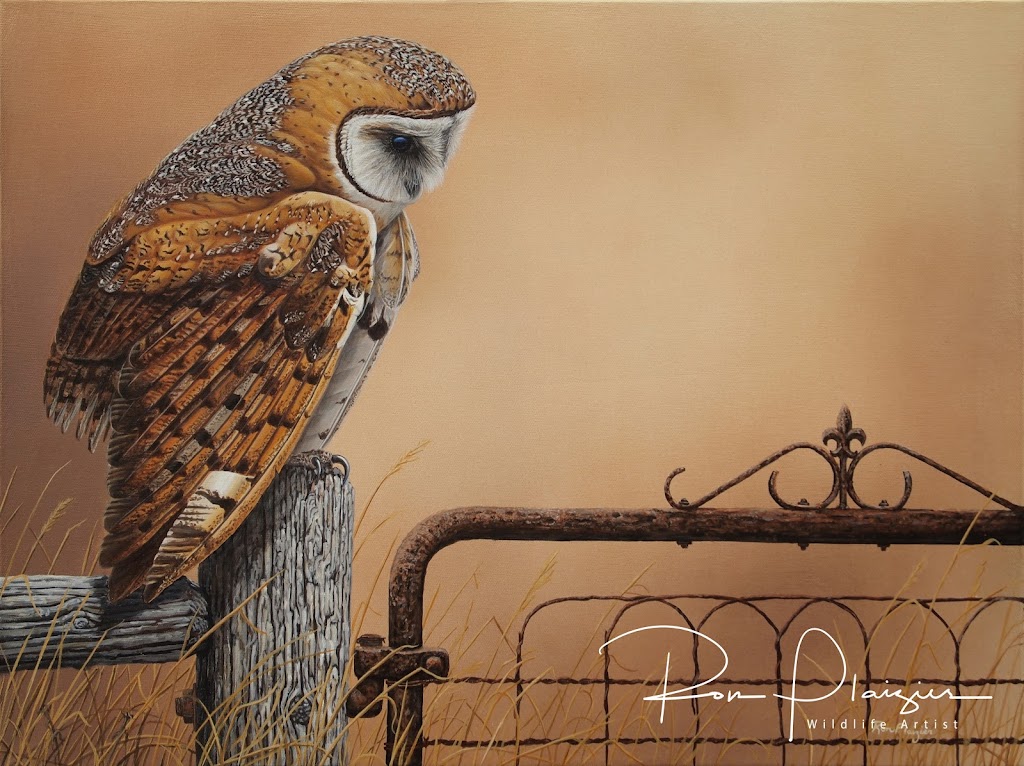 Ron Plaizier - Wildlife Artist | art gallery | 263 Marble Point Rd, Marmora, ON K0K 2M0, Canada | 6134723697 OR +1 613-472-3697