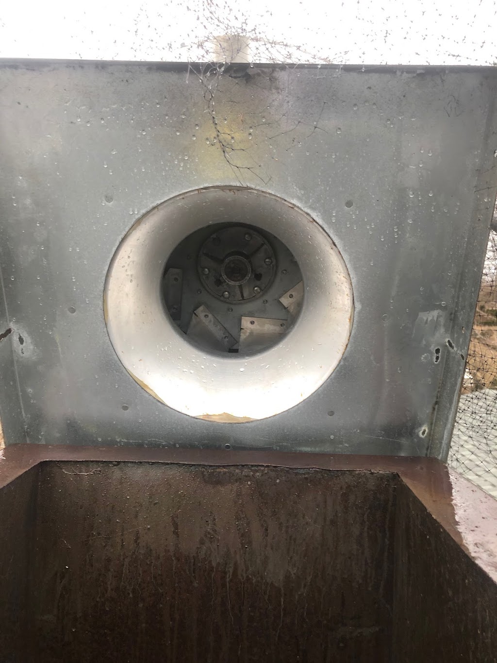 Steamwise Cleaning | 12956 Toronto St, Colborne, ON K0K 1S0, Canada | Phone: (905) 355-3131