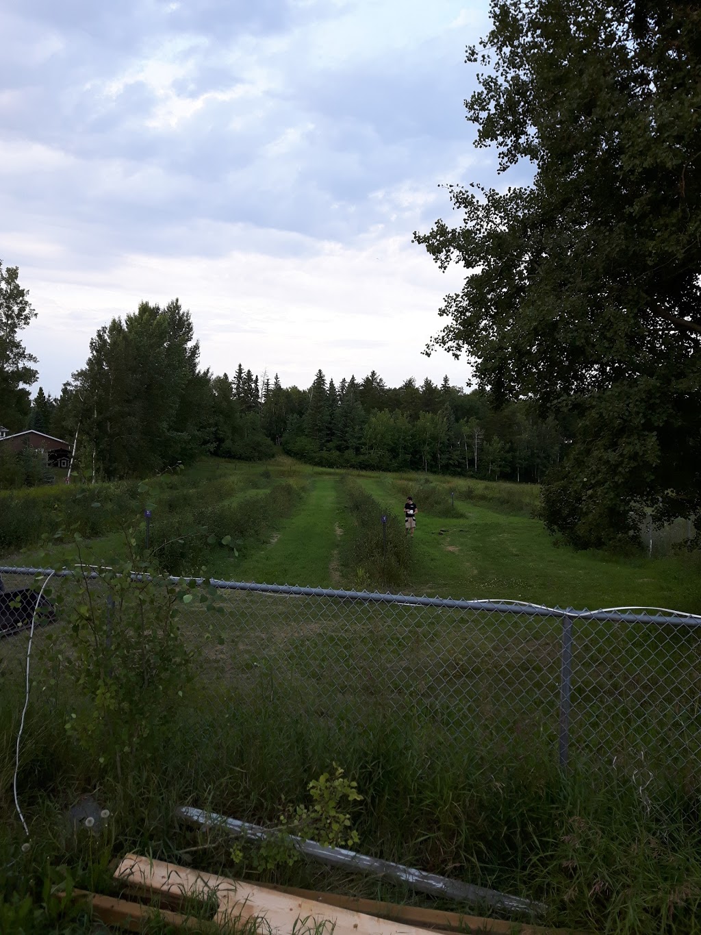Big Rock Berry Farm | 51310 Range Rd 261 #3, Spruce Grove, AB T7Y 1B5, Canada | Phone: (780) 886-3387